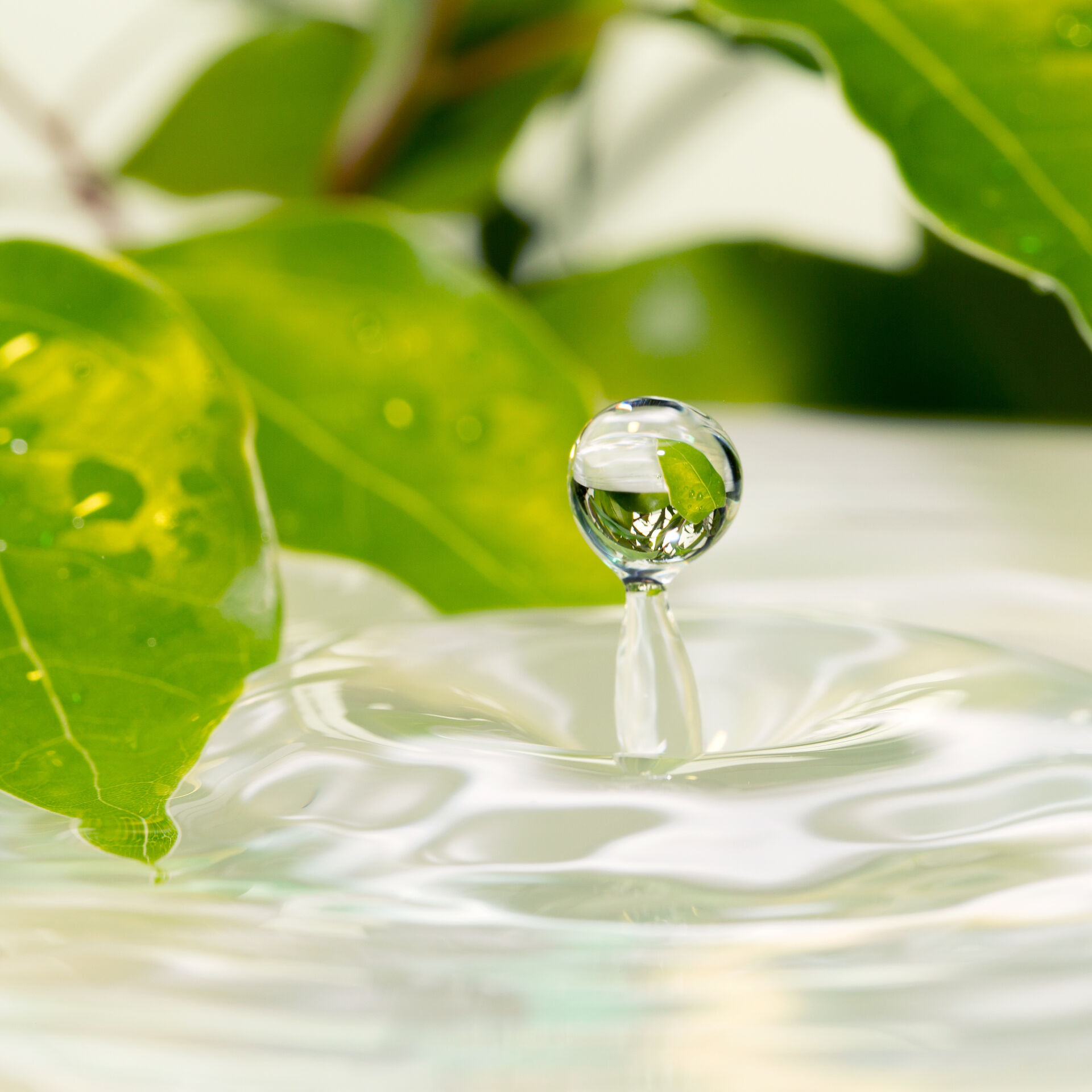 ポリリンホワイトニングの効果についてご存知ですか？